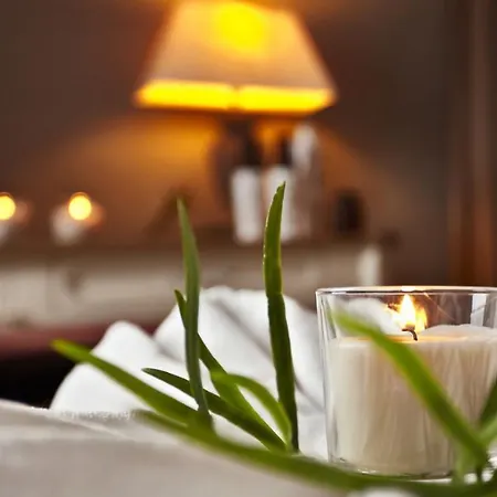 Hotel & Palac Mala Wies
